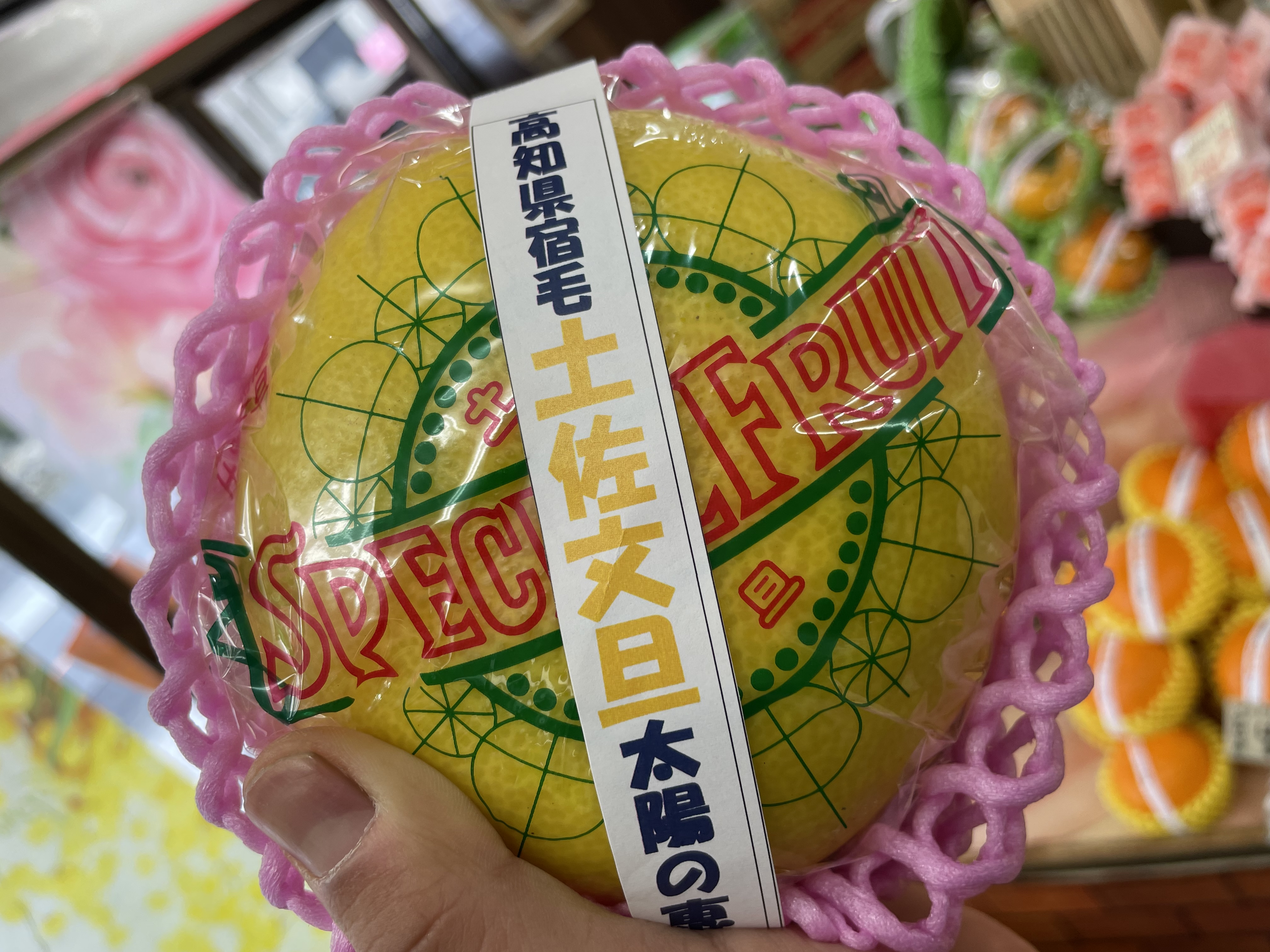 【ぷりぷりっ！！】土佐の恵み(・ω・)