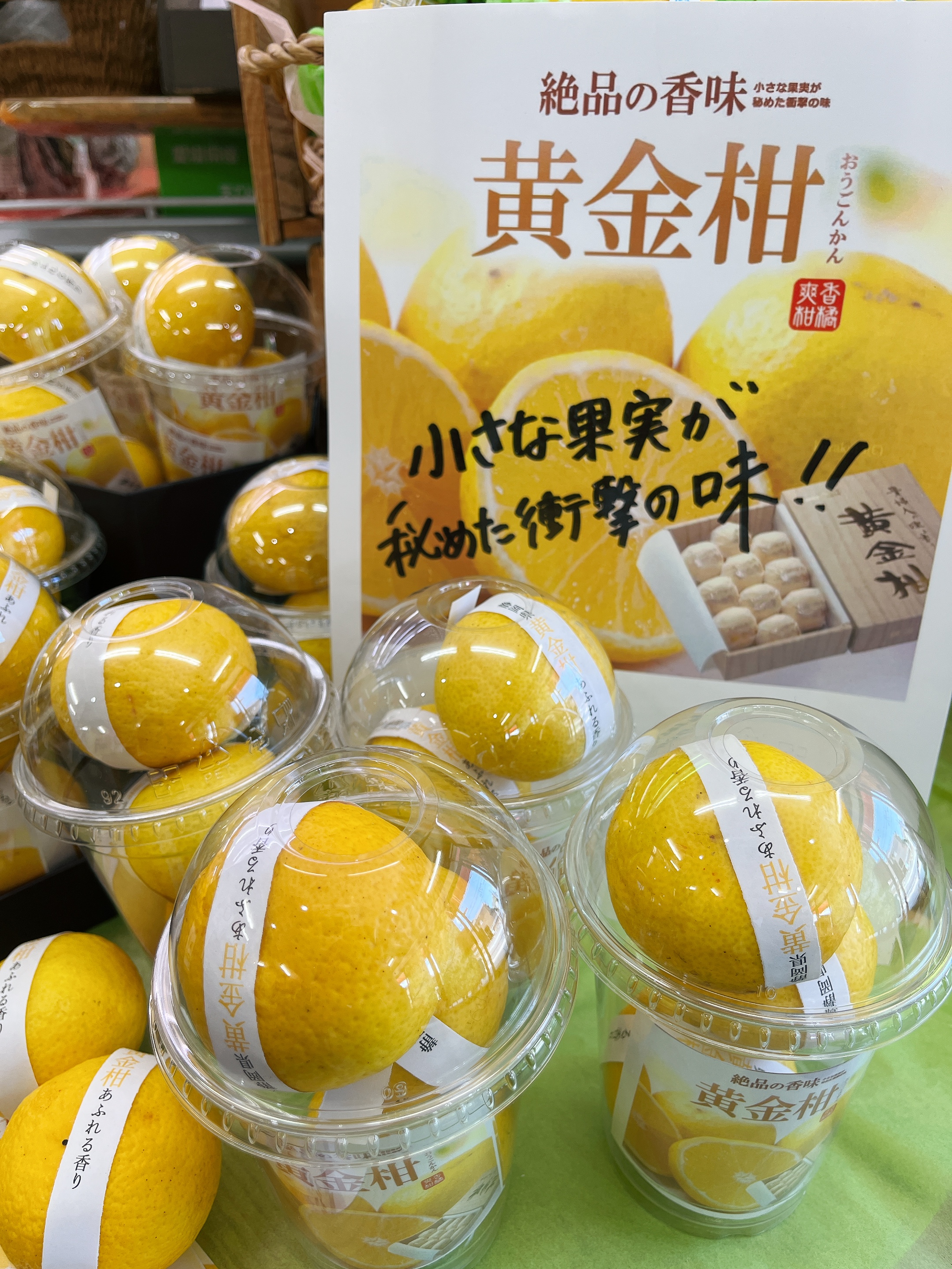 【すっぱそ～な見た目でも爽やかな甘さ！！】絶品の味！黄金柑！！