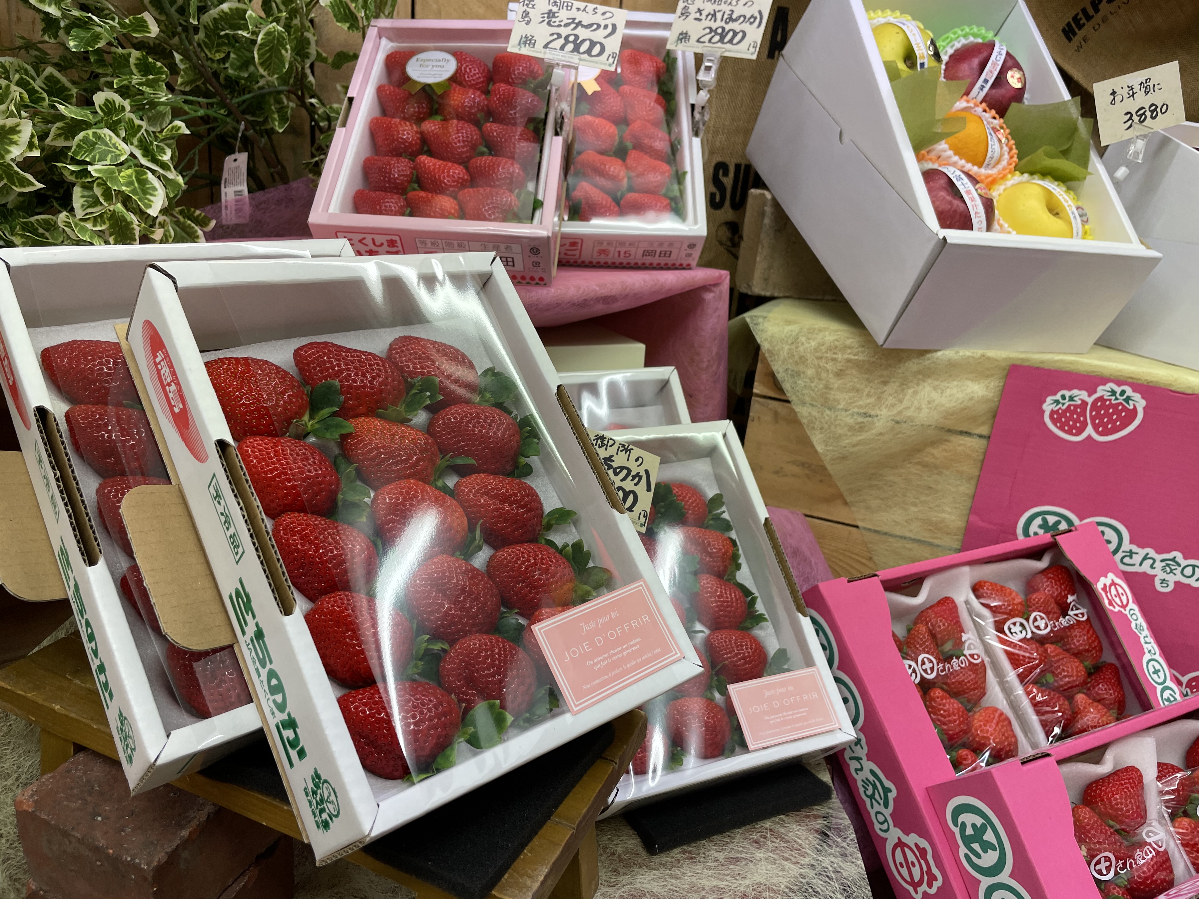 【いちご🍓】旬！！いちごの季節です('ω')