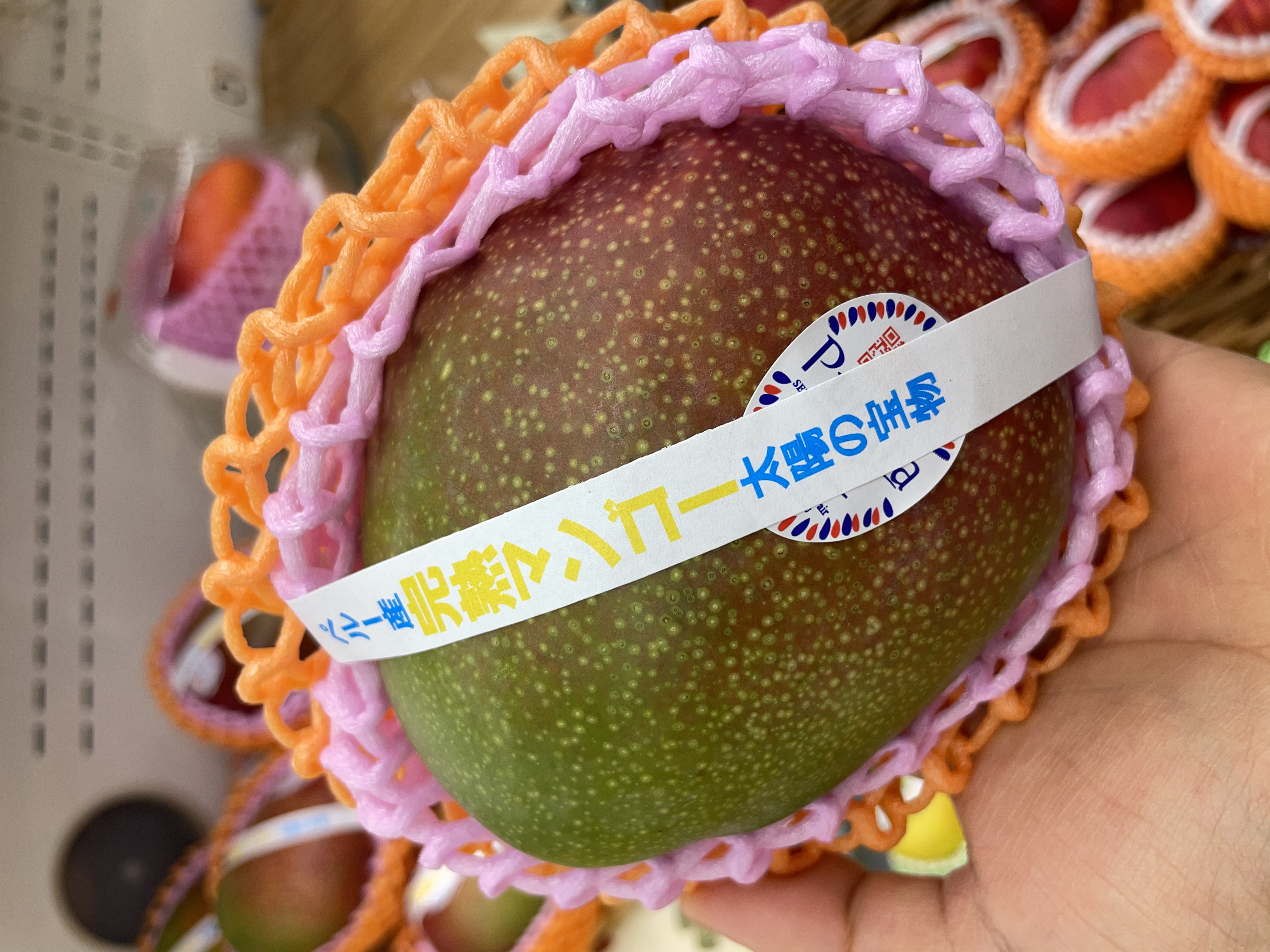 【超リッチ✨✨】太陽の恵🌞