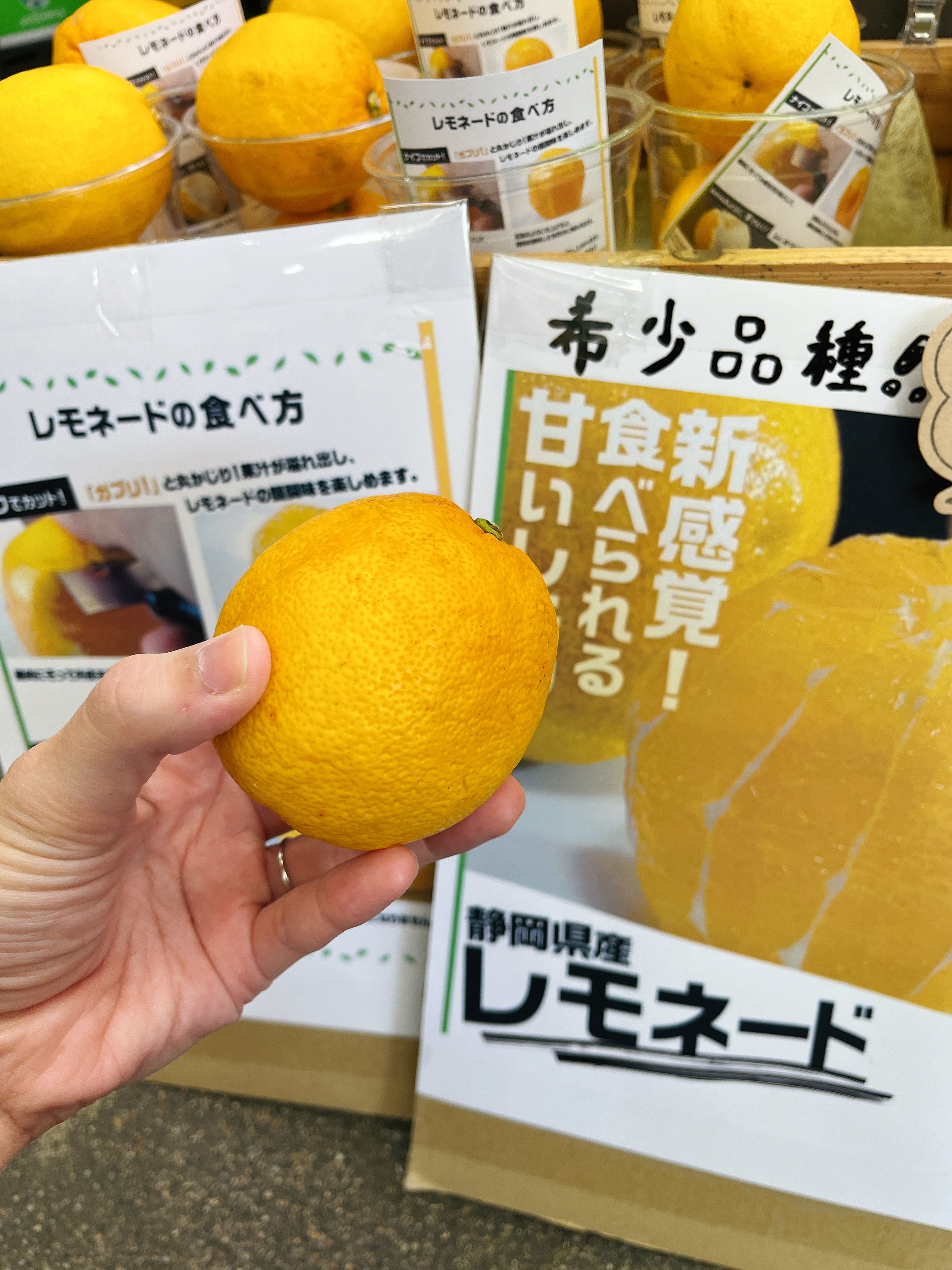 【美味しいレモン！？】食べれちゃうんです！！(^^♪