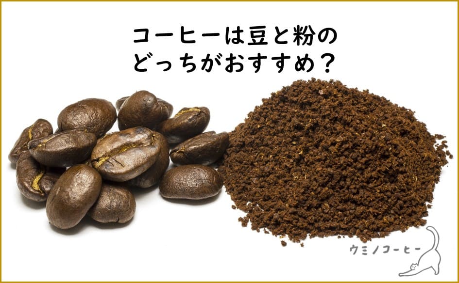 コーヒーは豆と粉のどっちで買うのがおすすめ？違いをしっかり比較