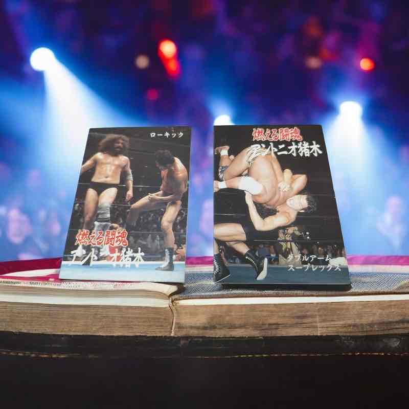 あの懐かしの燃える闘魂アントニオ猪木❗️