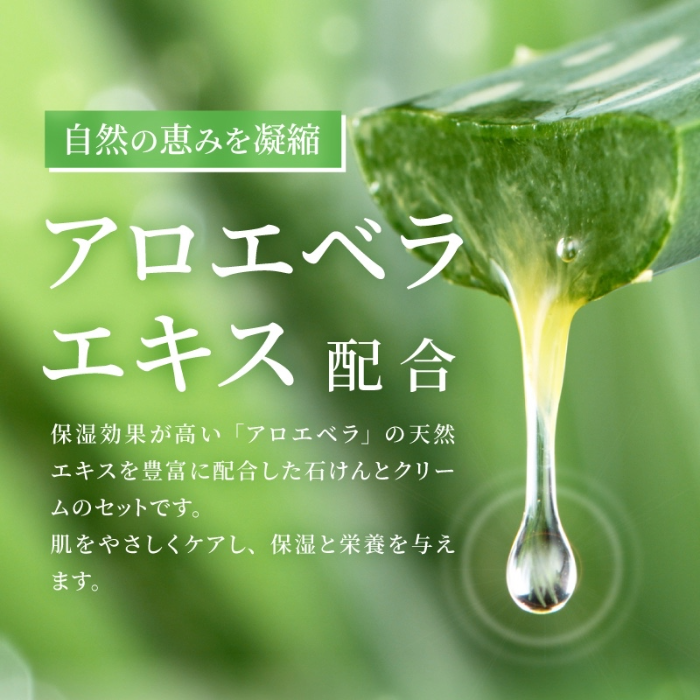 アロエベラの主な成分