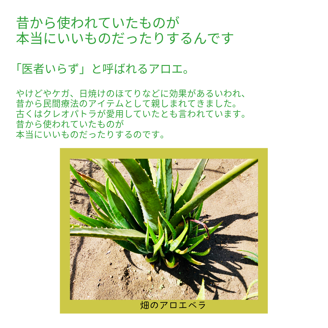 無農薬にこだわる理由