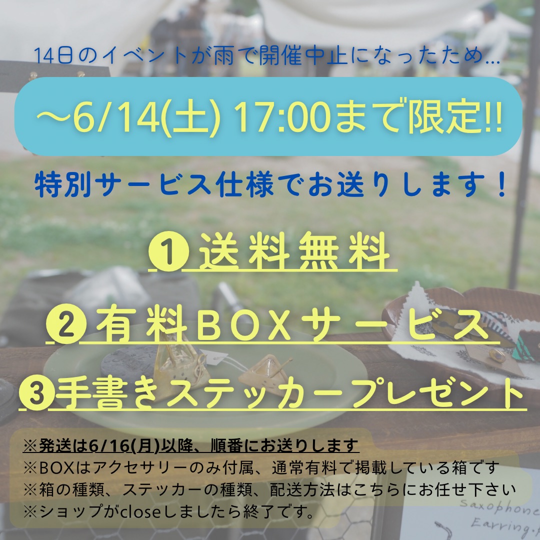 《急遽 明日まで限定開催‼︎》送料無料 etc.⭐︎6/14(土)17時まで！