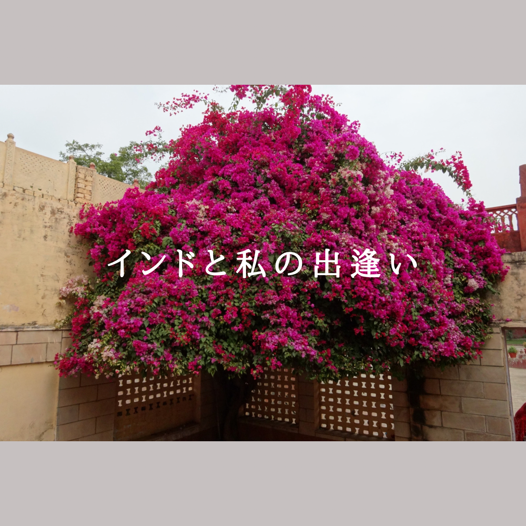 ••✼ ✼•• インドと私の出逢い••✼ ✼••