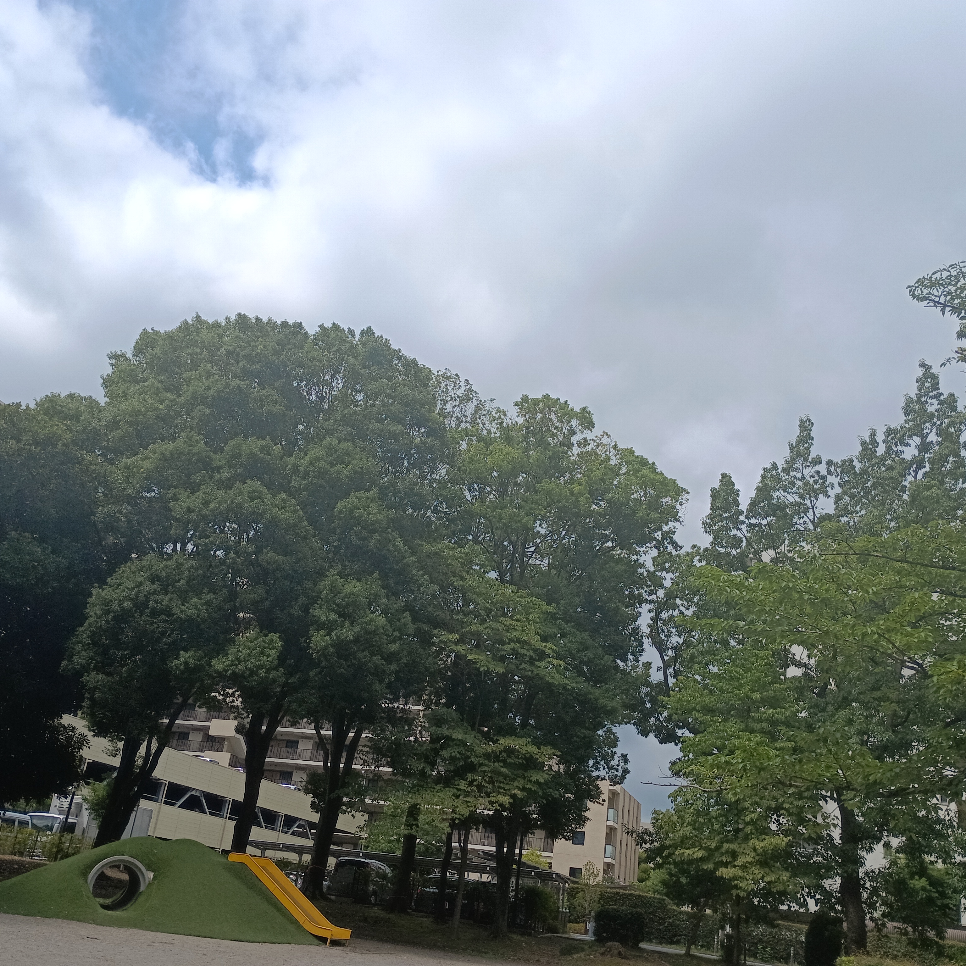 ちょっとの行動