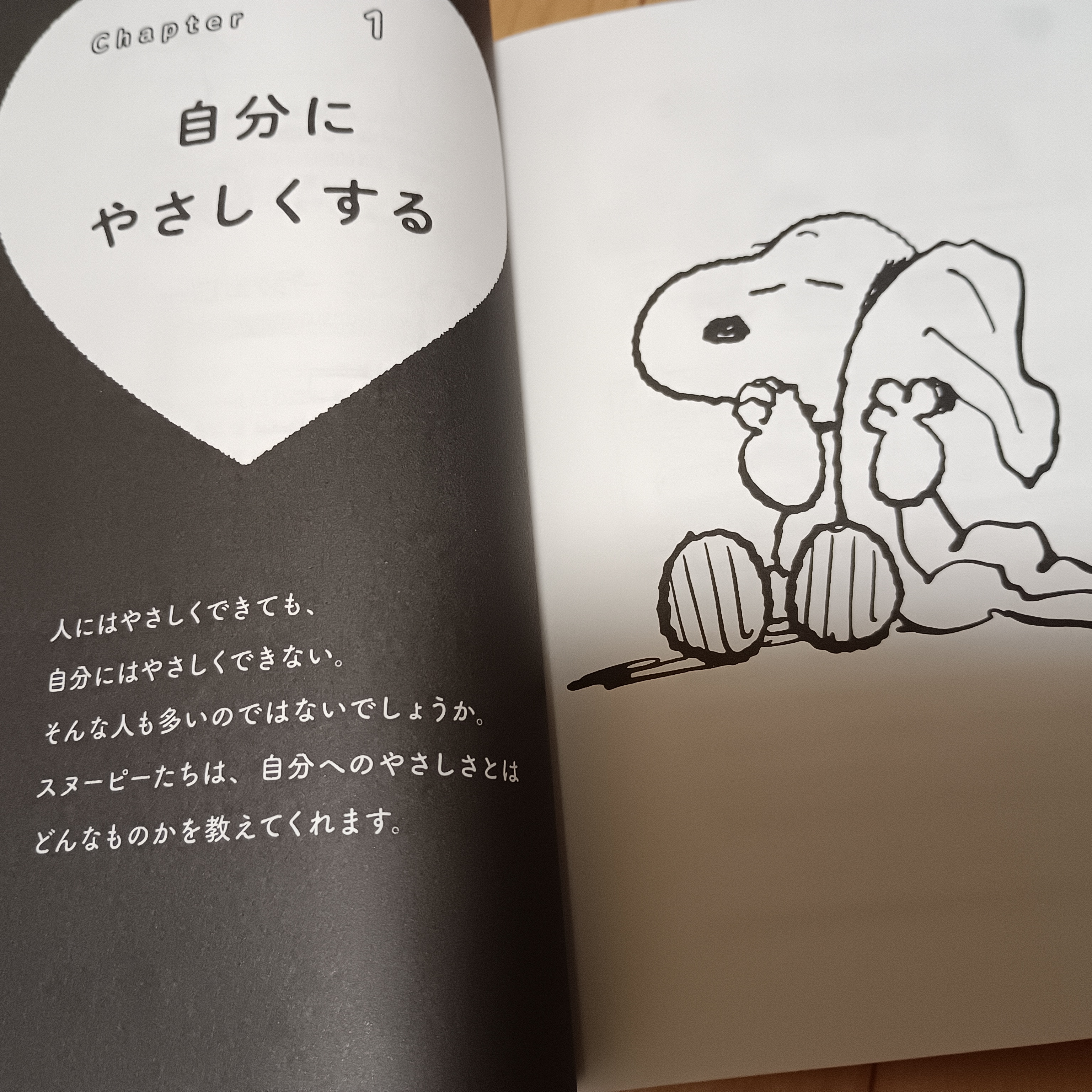 人間本来のリズム　サーカディアンリズム