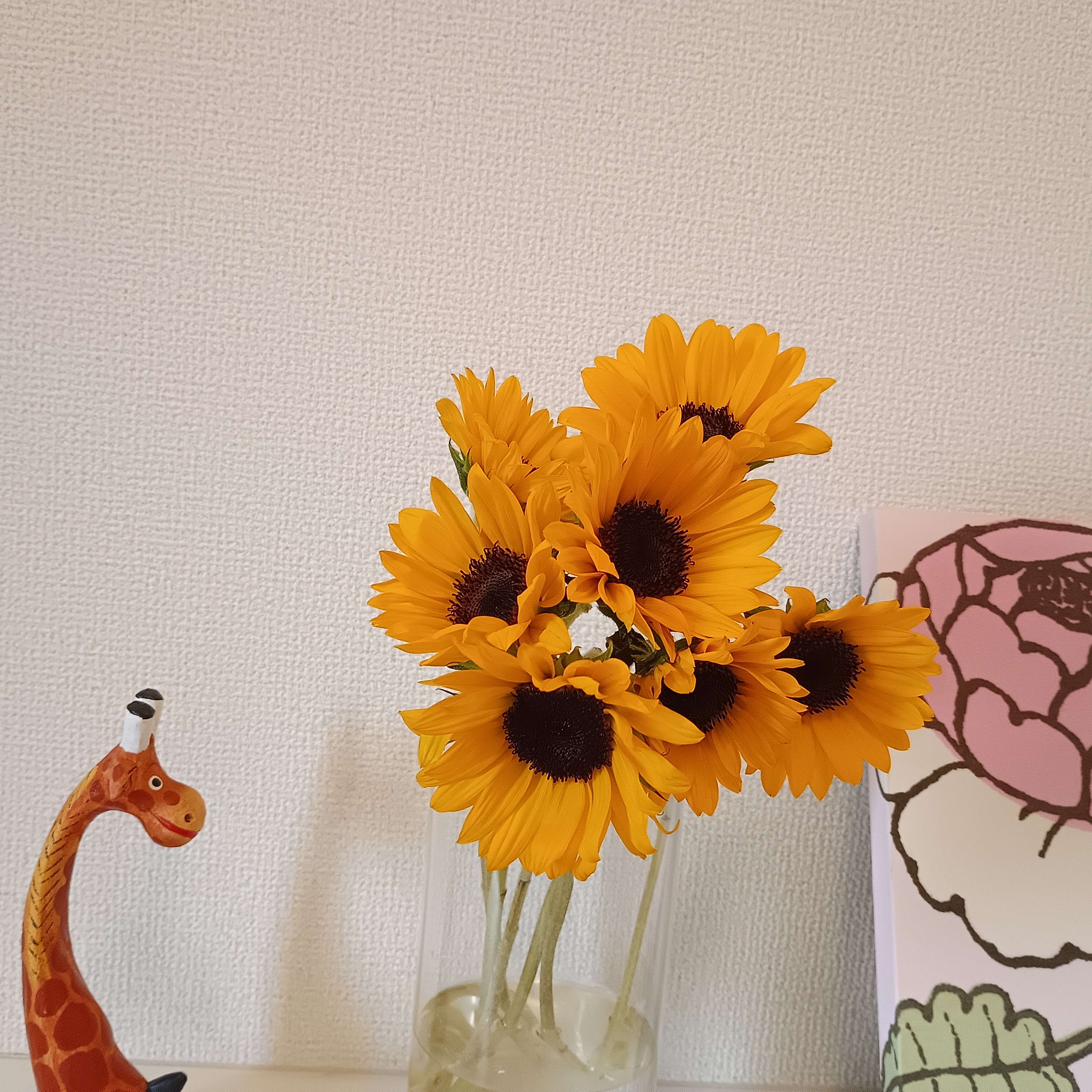 こころの余白　&　お知らせ