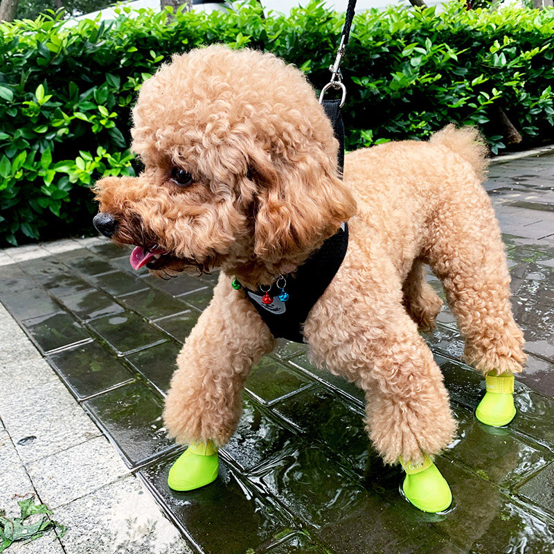 ＼✧ 雨の日や暑い日に肉球を守る！ペットブーツ✧ ／