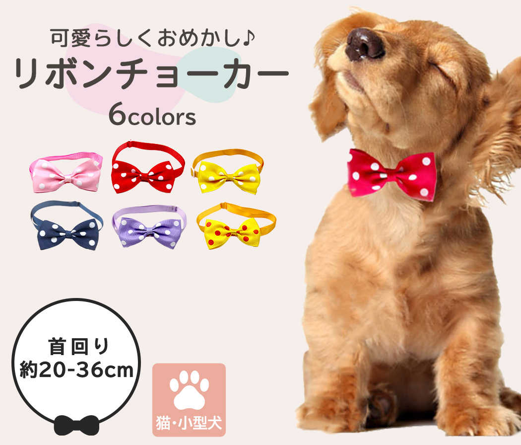 ＼✧ わんこもお洒落におめかし！リボンチョーカー✧／