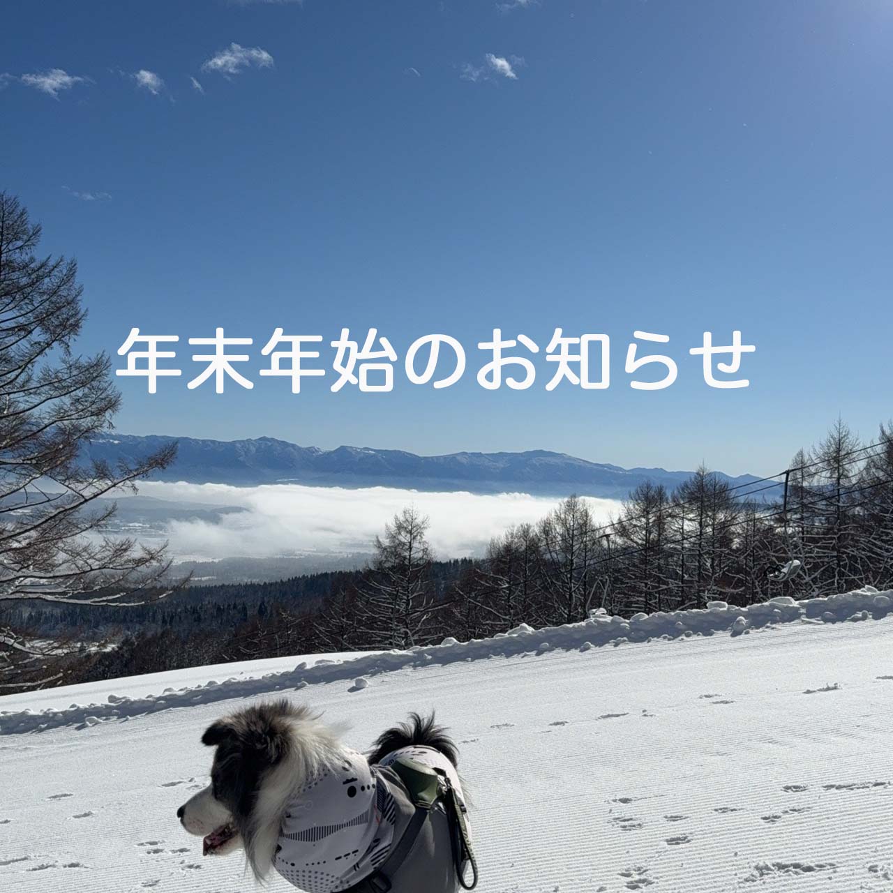 年末年始のお知らせ