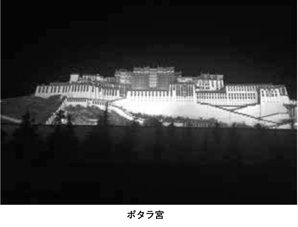 チベット難民の長い旅はつづく⑦「家族との再会」