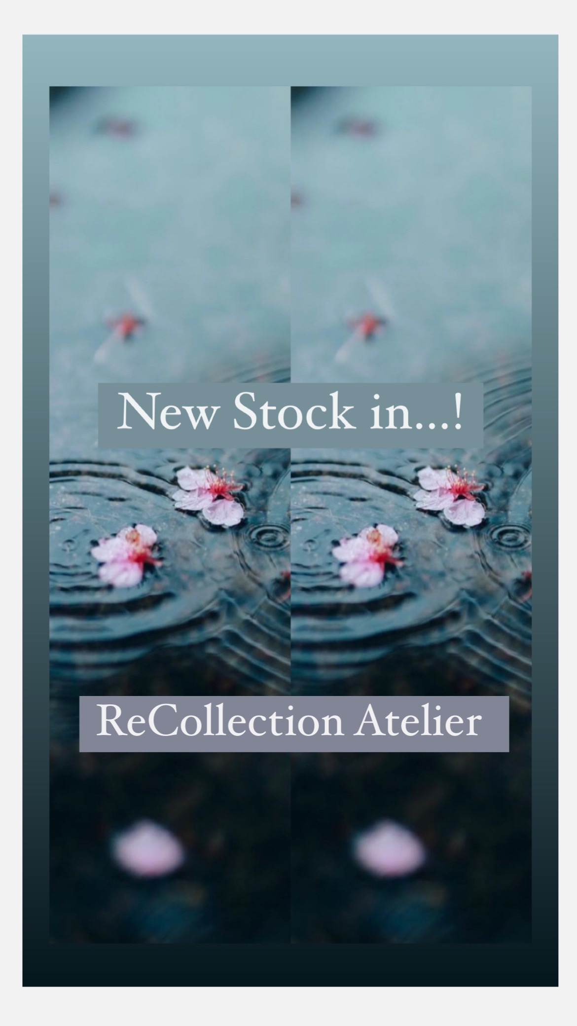 NEW STOCK IN....CHECK IT OUT!!!!