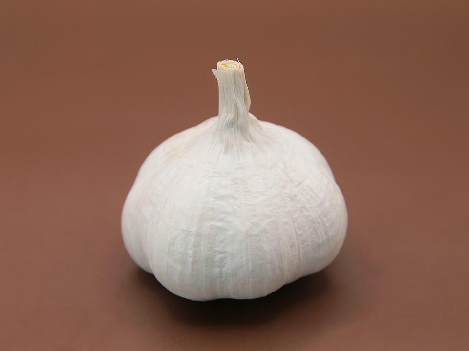 金郷(きんごう)