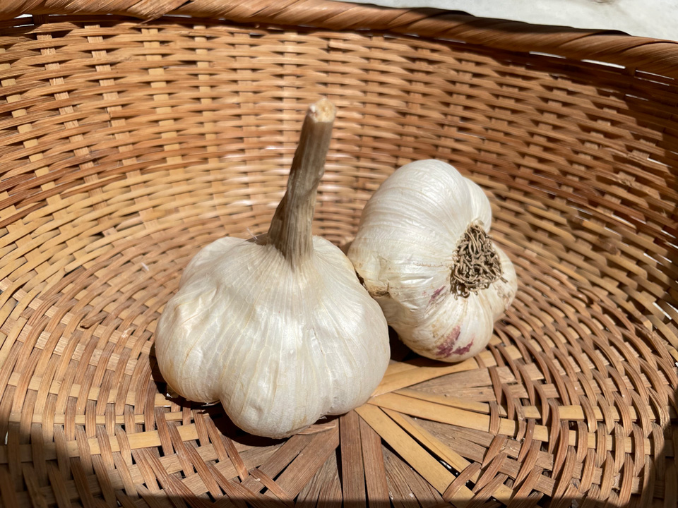 苫米地にんにく（とまべちにんにく）