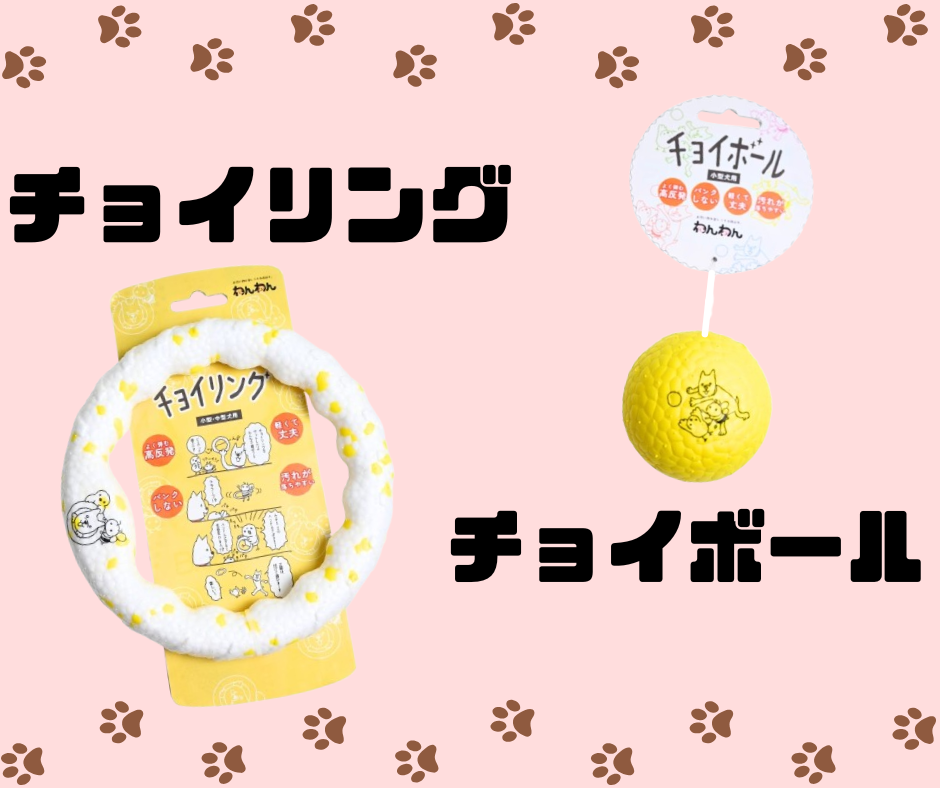 犬界でチョイバズり?!