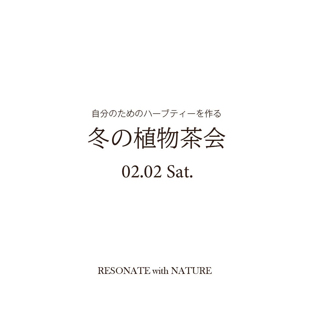 【福岡ワークショップ 冬の植物茶会 開催のお知らせ】