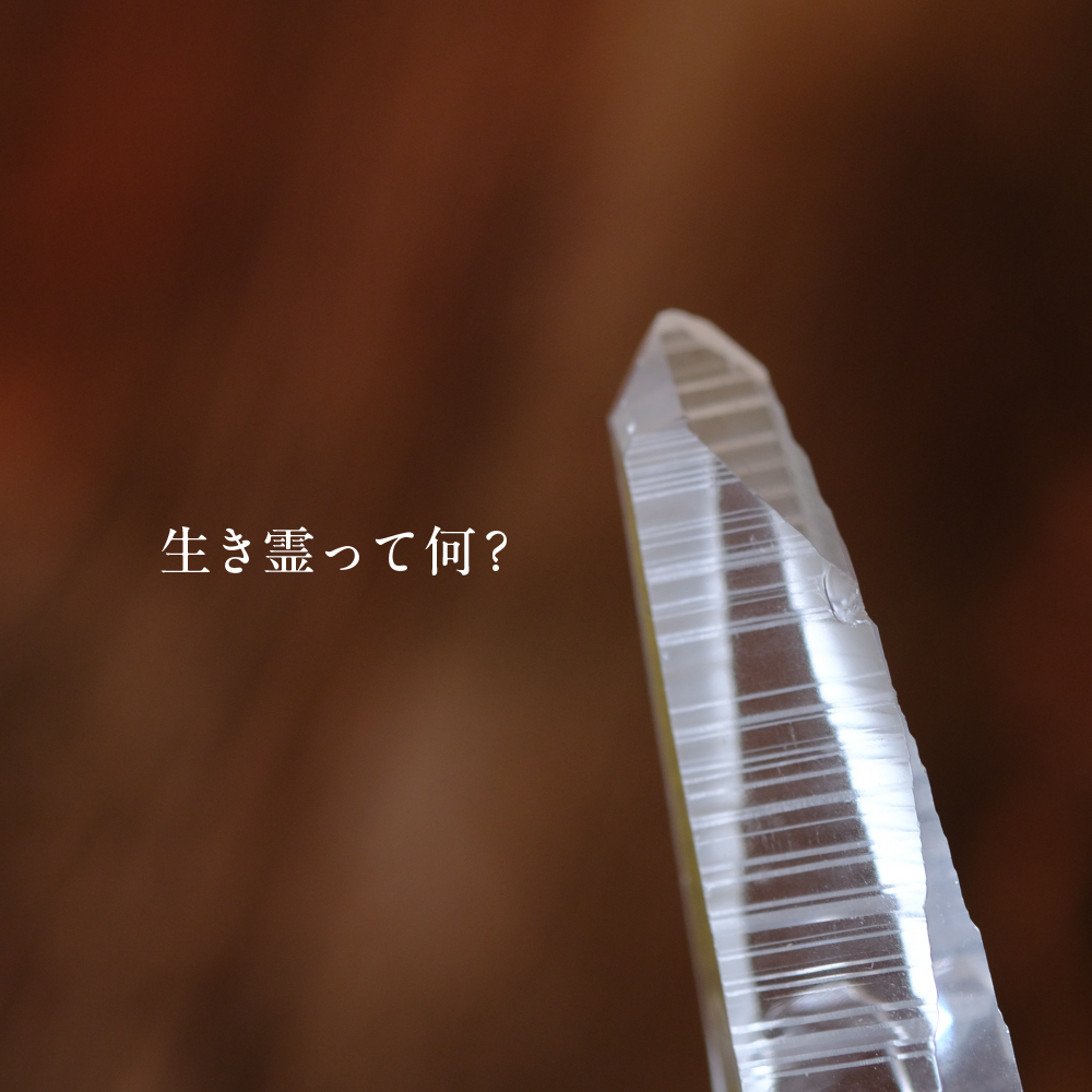 生き霊って何？