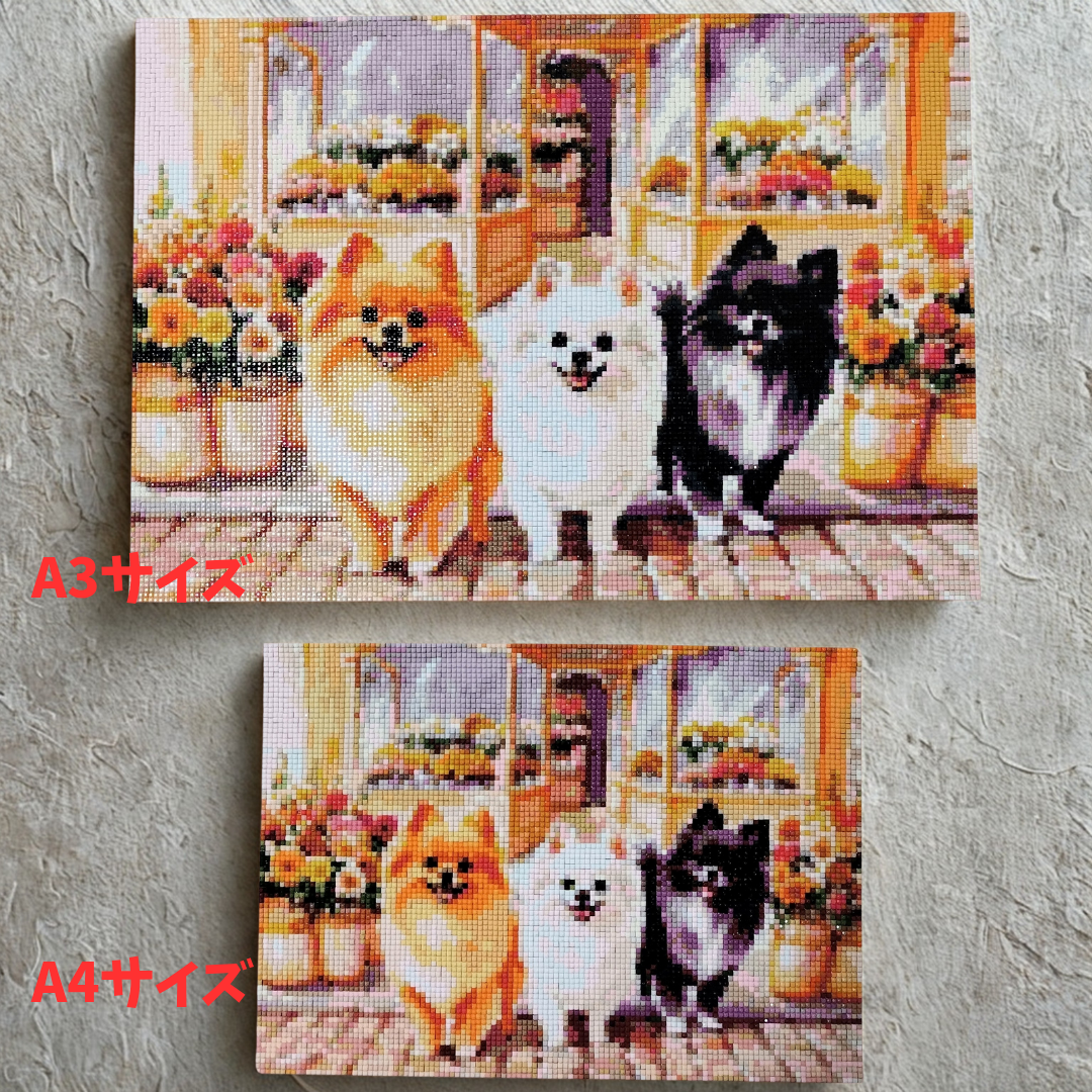 比べてみて！