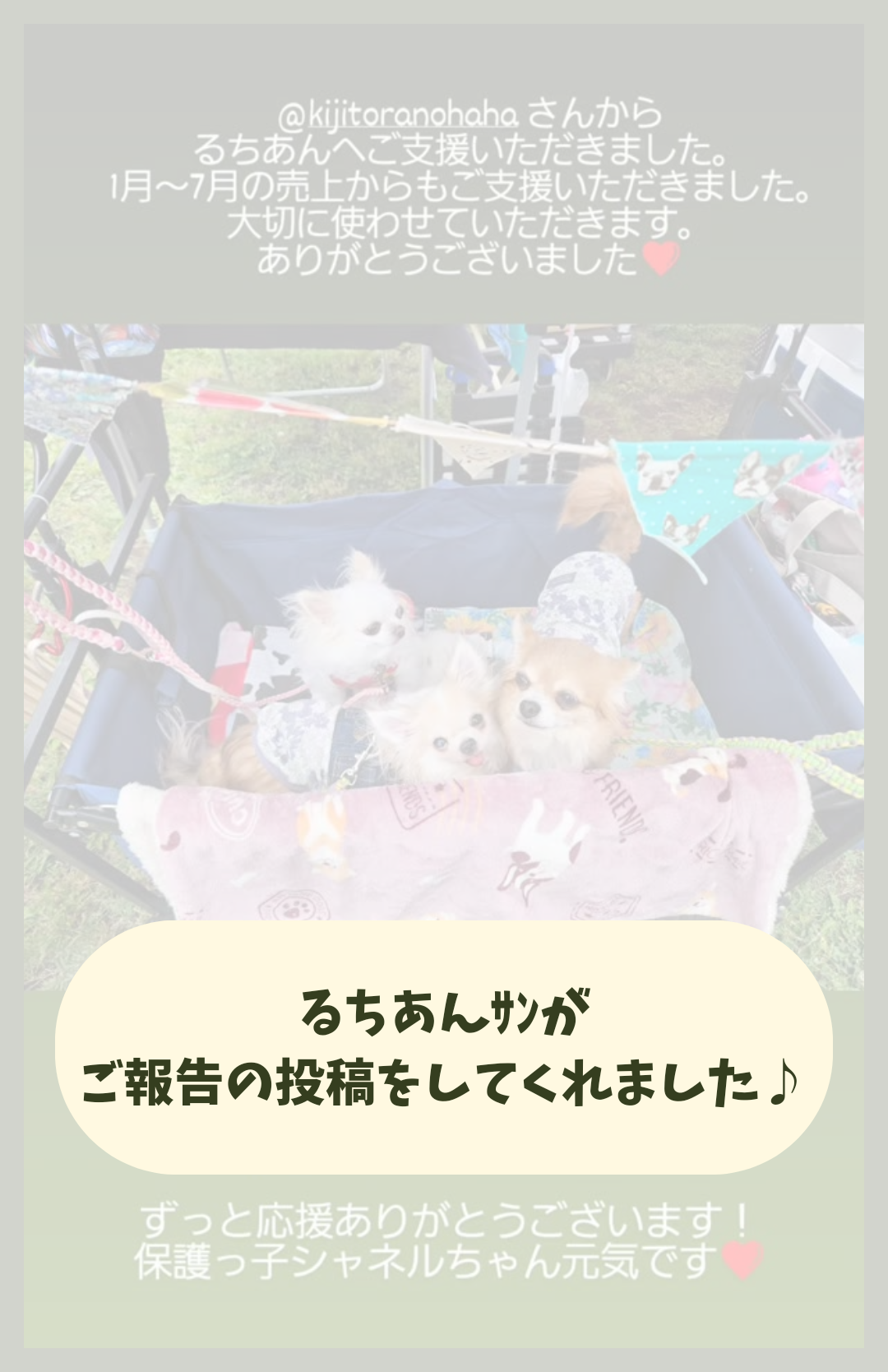 お礼申し上げます