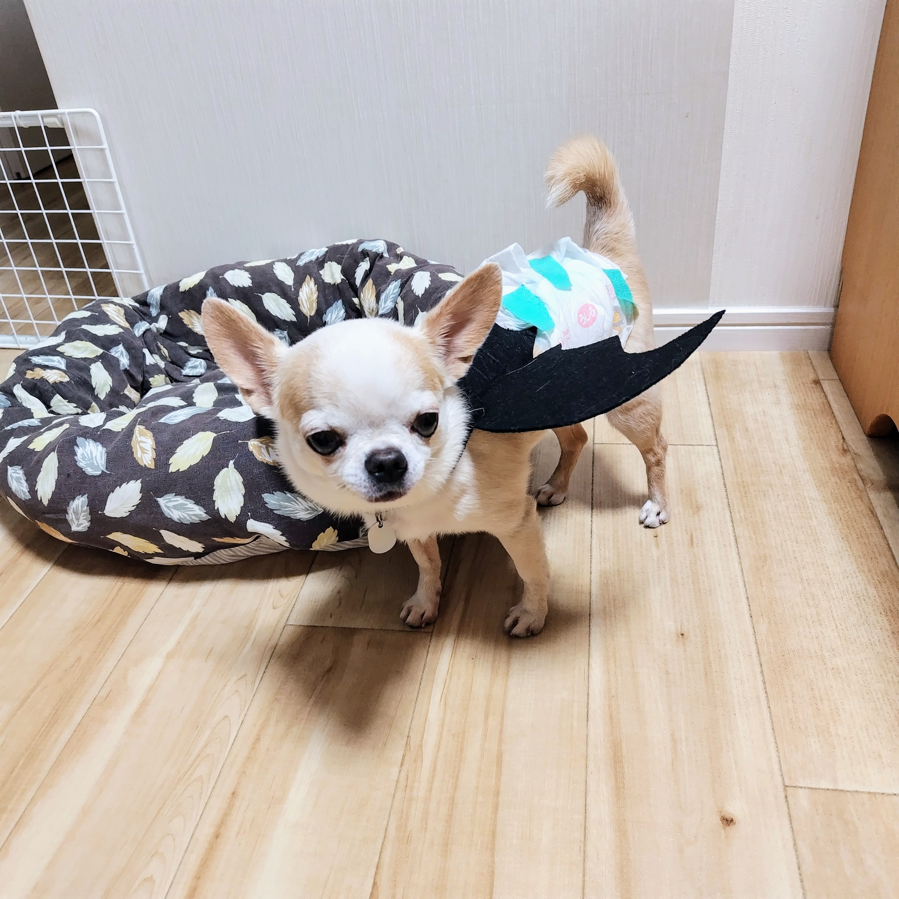 ハロウィンのバットマン