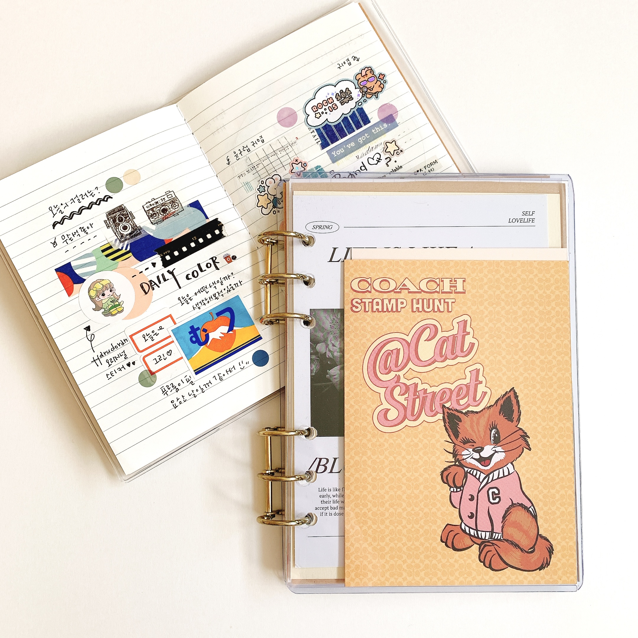 5月販売についてお知らせします！5月1日の販売について