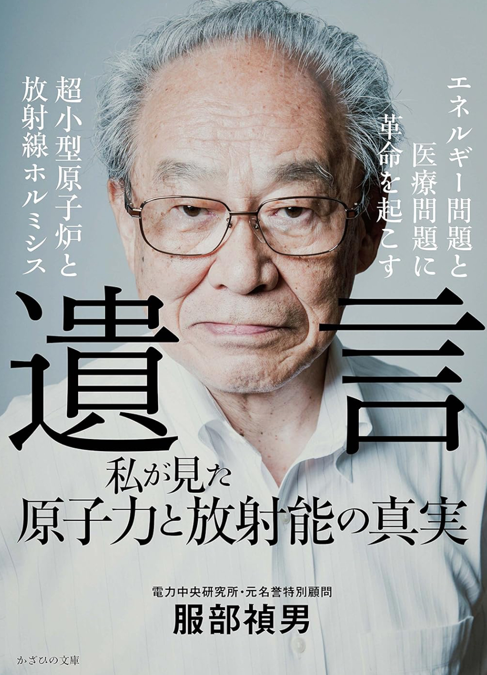 超小型原子炉の潜在力と大型原発の選択理由