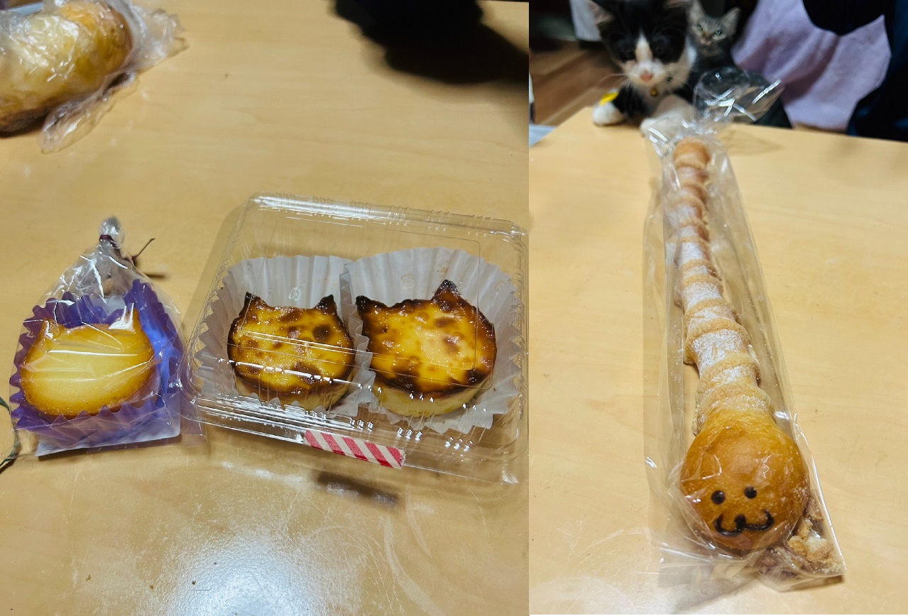 物珍しさで・・・