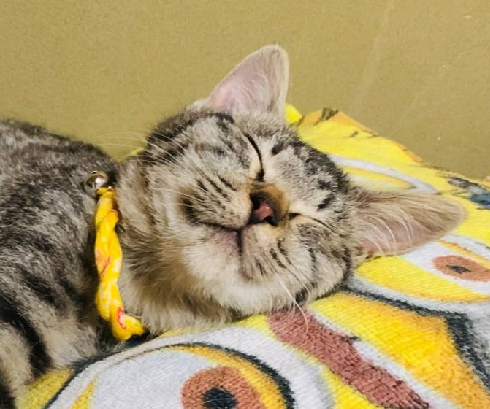 2月も終わるんですけど