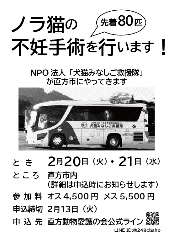 野良猫ちゃんよっといで~~