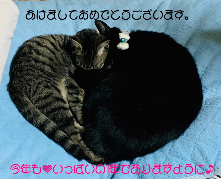 あけましておめでとうございます。
