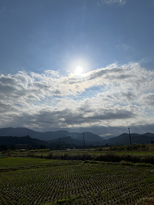 blog   は＊な＊さ＊ん＊ぽ　　＊＊＊グレートジャーニー＊＊＊