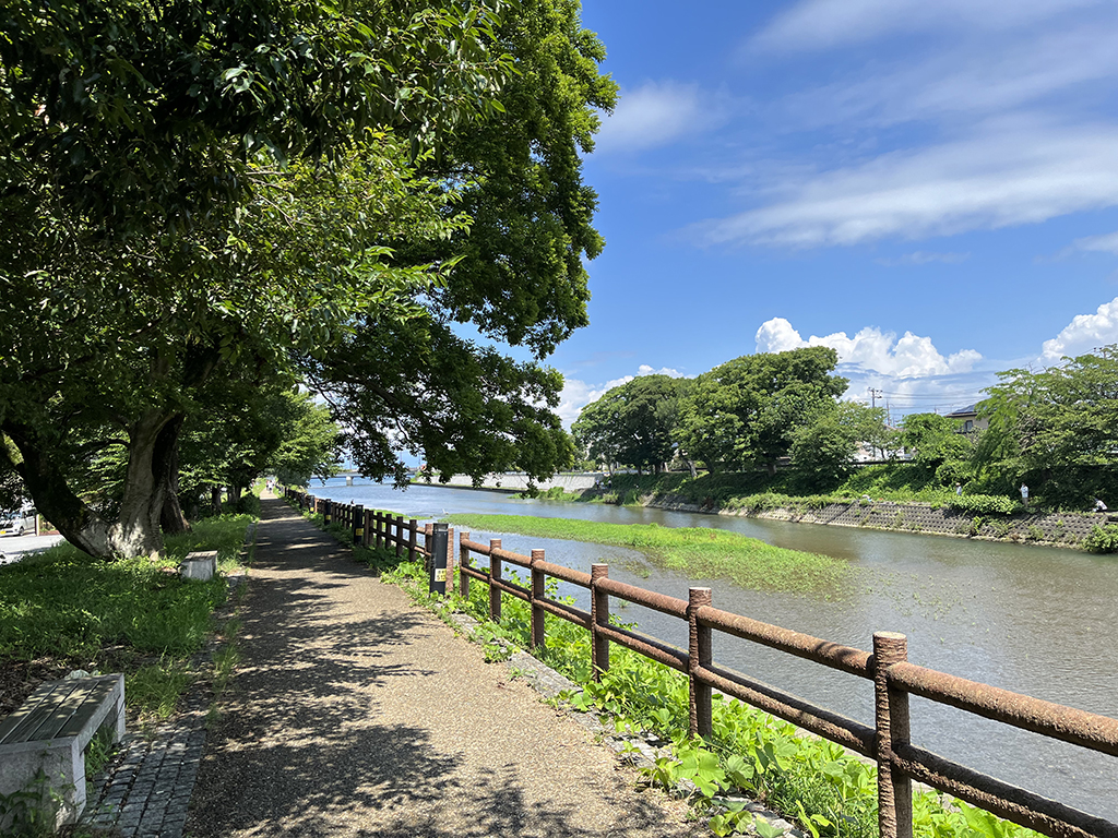 blog   は＊な＊さ＊ん＊ぽ　　＊＊＊はじめまして＊＊＊