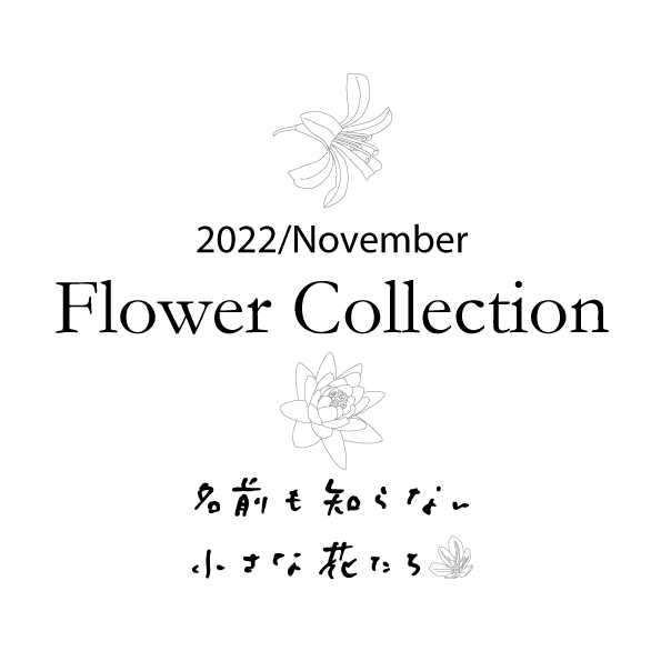 blog   は＊な＊さ＊ん＊ぽ　　＊＊＊2022/11 Flower Collection　＊＊＊