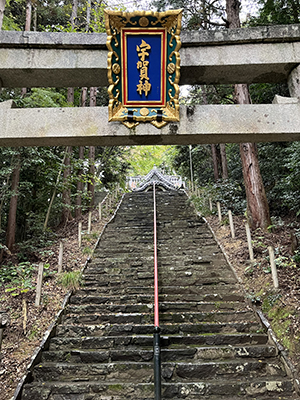 blog   は＊な＊さ＊ん＊ぽ　　＊＊＊不思議なこと　2　＊＊＊