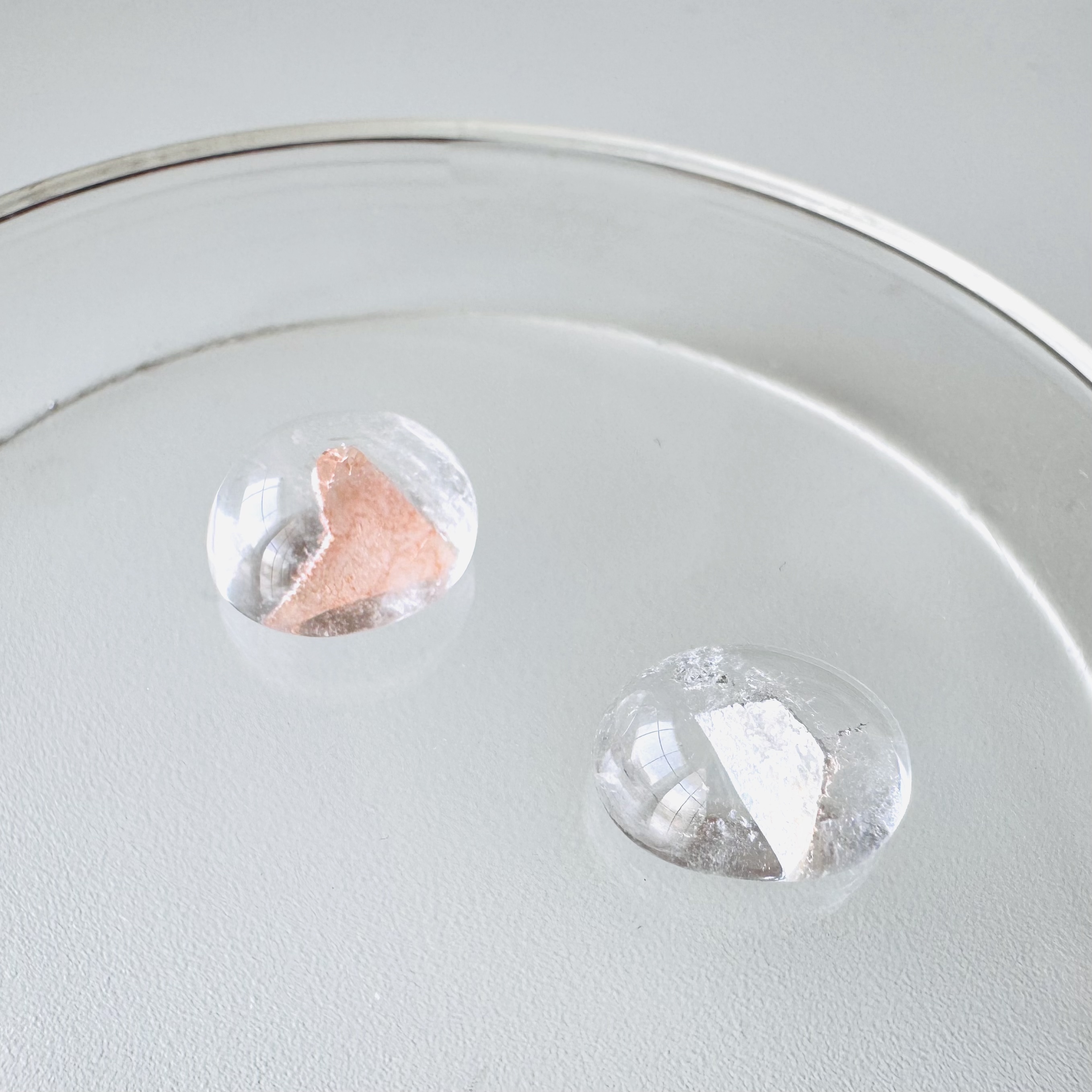 作品のショップ掲載のお知らせとフォロー割りのお知らせ