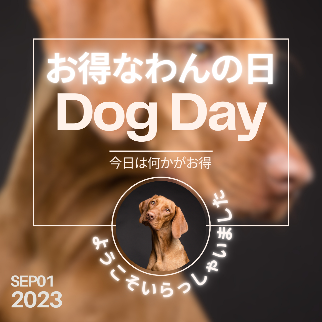 今日は9/1、わんの日。