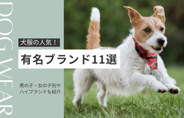 犬服の人気有名ブランド 11選！男の子・女の子別やハイブランドも紹介