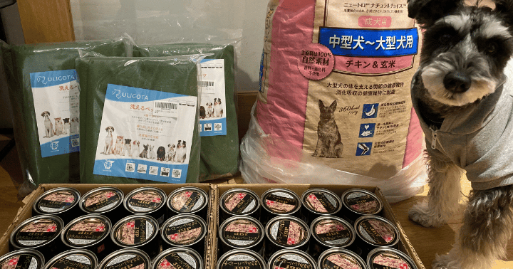 【ご報告】2024年3月：保護犬・保護猫活動への寄付