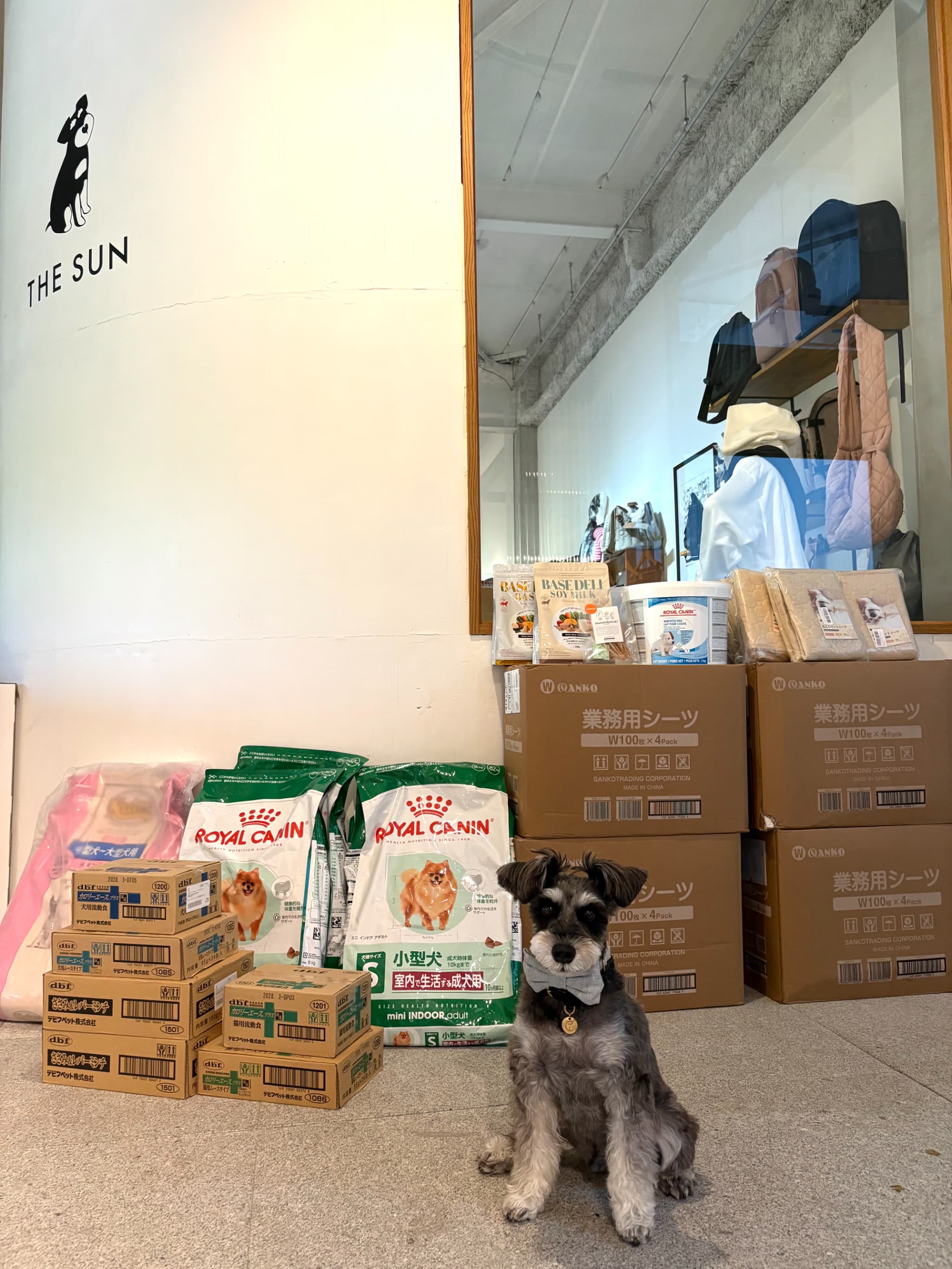 【ご報告】2025年6月：保護犬・保護猫活動への寄付