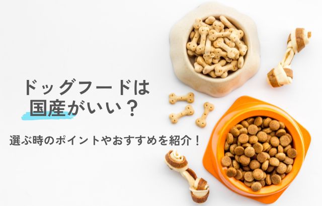 ドッグフードは国産がいい？選ぶ時のポイントやおすすめを紹介！