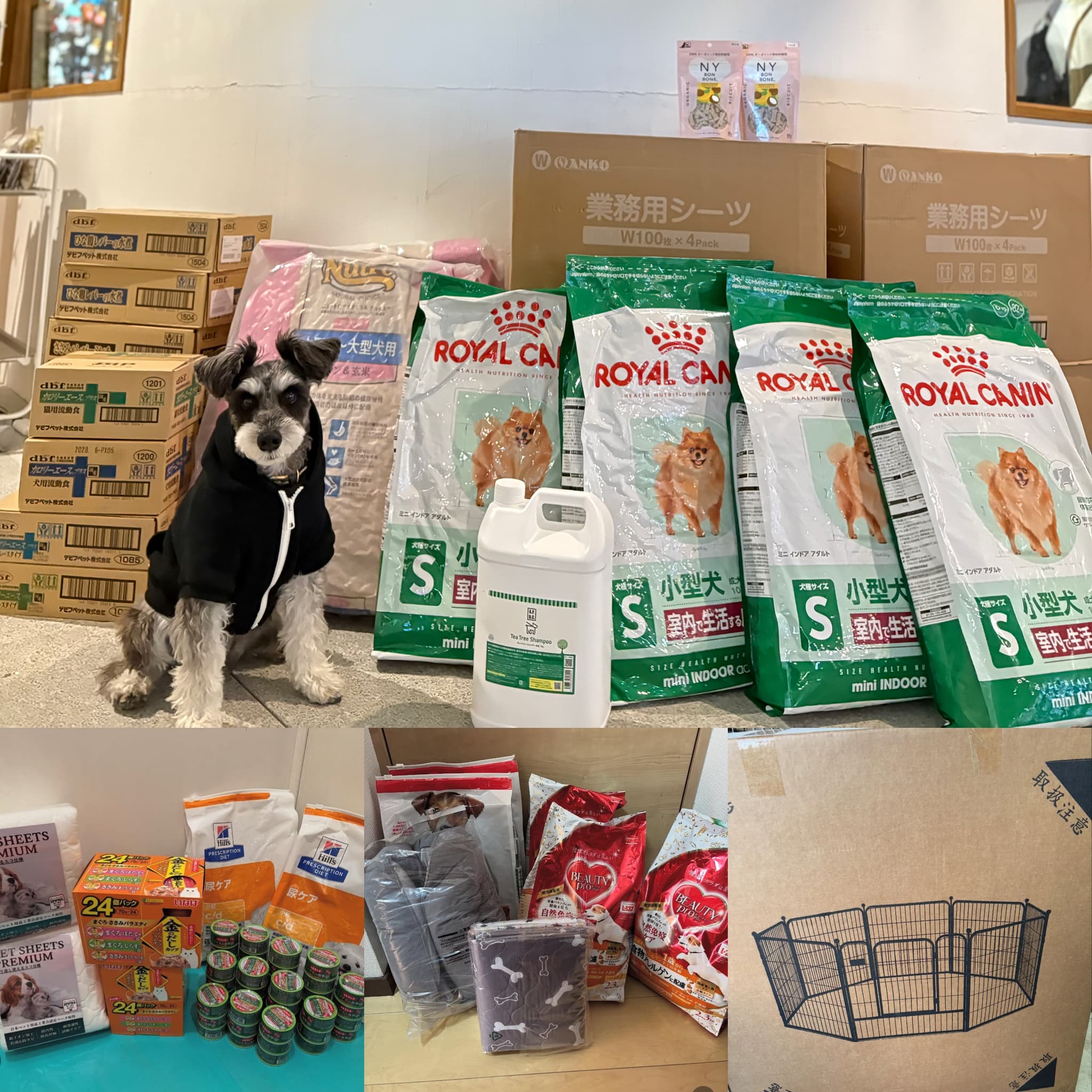 【ご報告】2025年12月：保護犬・保護猫活動への寄付