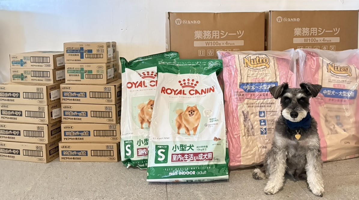 【ご報告】2026年3月：保護犬・保護猫活動への寄付