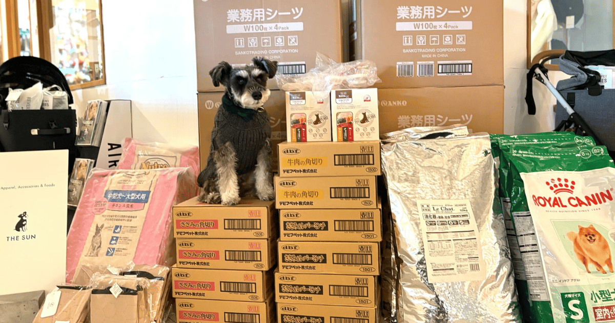 【ご報告】2024年12月：保護犬・保護猫活動への寄付