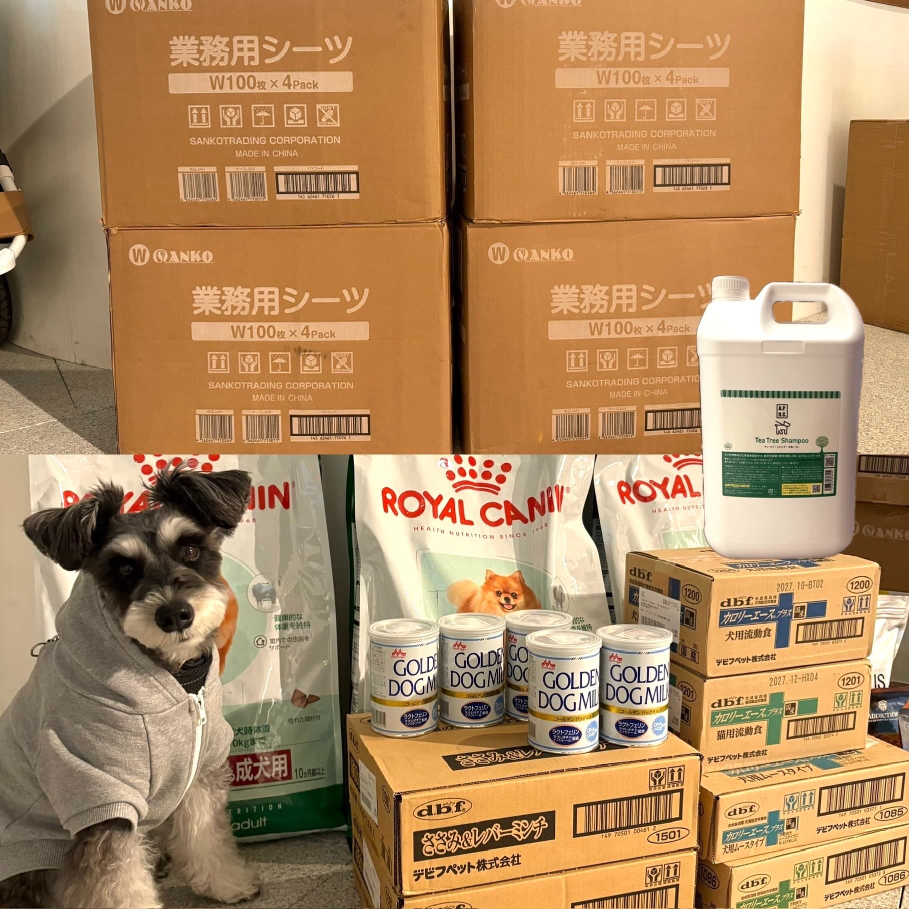 【ご報告】2025年3月：保護犬・保護猫活動への寄付