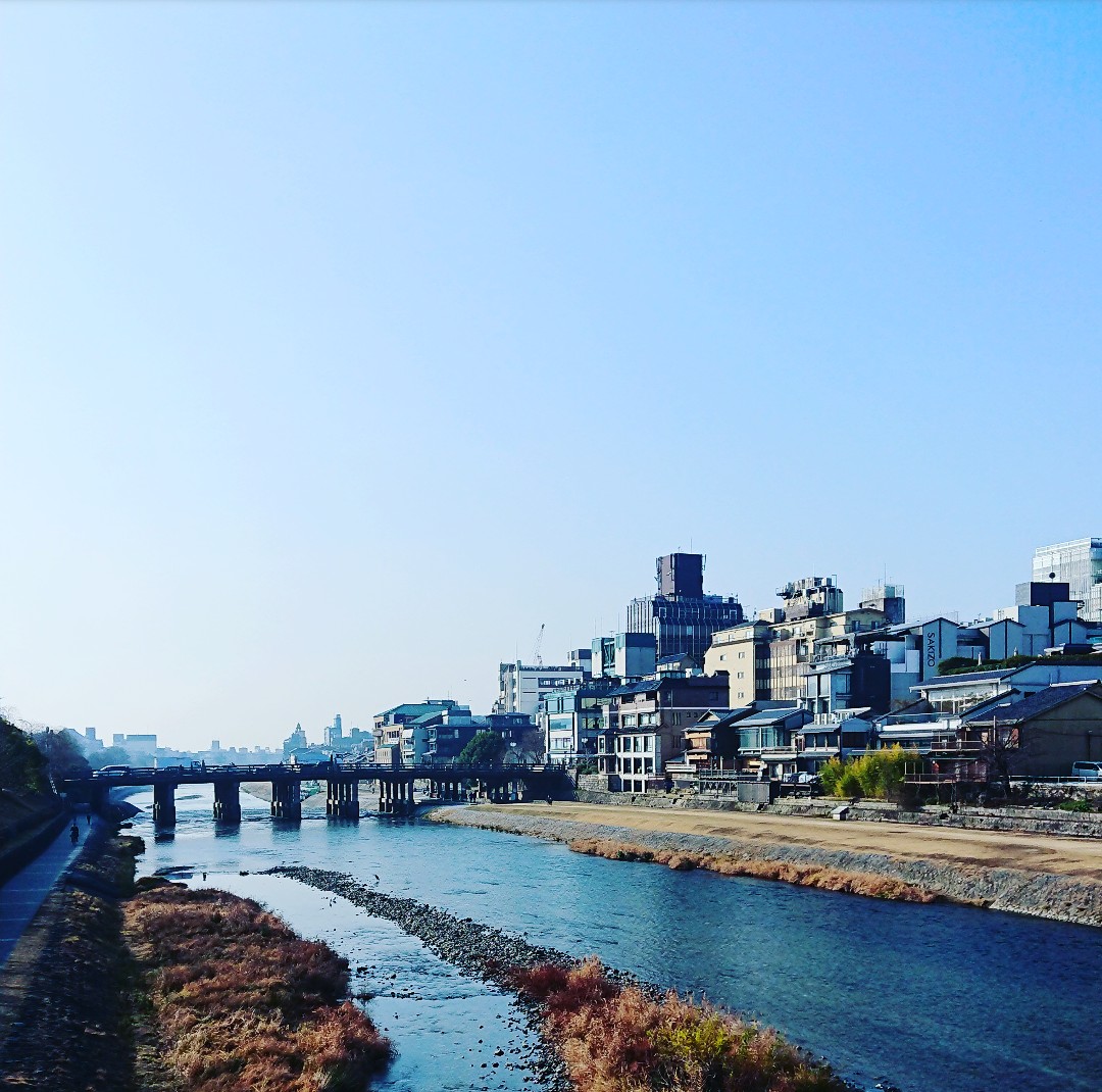 今月のお休み