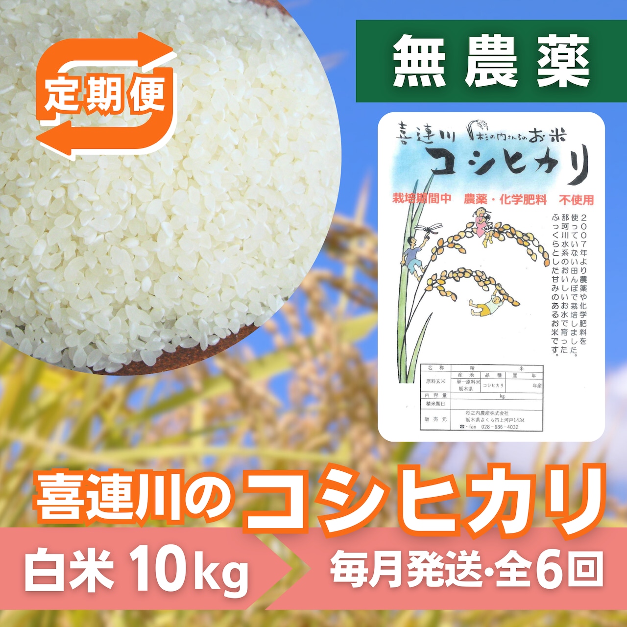 《注文受付を終了（予定数に達した為）》「【定期便：全6回】無農薬 喜連川のコシヒカリ」