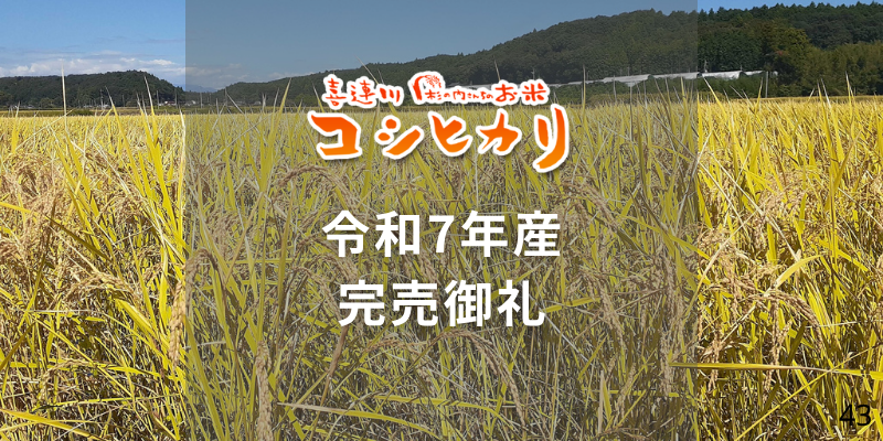 令和7年産は完売御礼&「新米」注文受付は9月初旬開始予定、発送は9/15頃から!